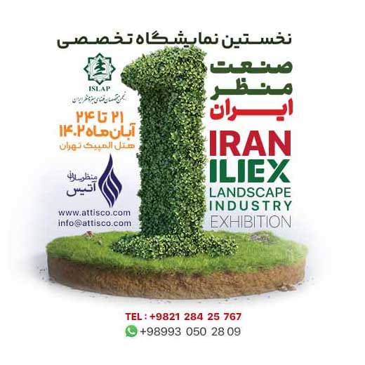Cover-Profile-ILIEX-002